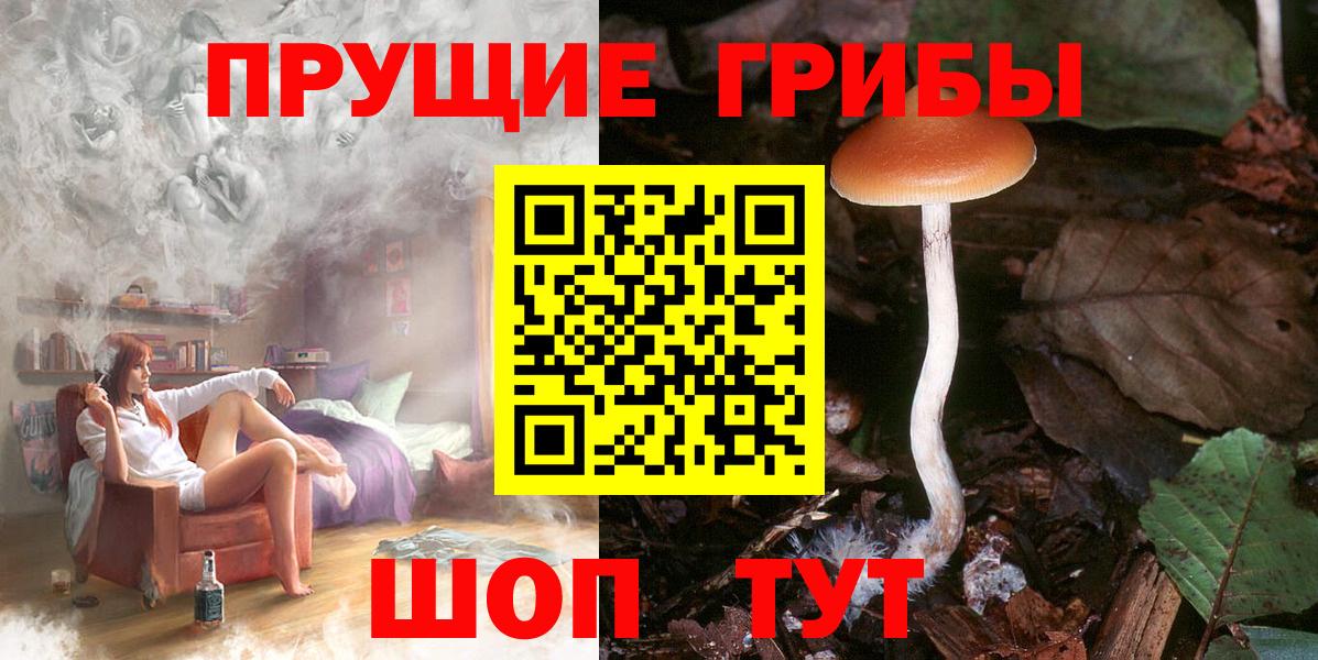 Глазов  Галлюциногенные грибы Psilocybine cubensis  Вход с VPN 